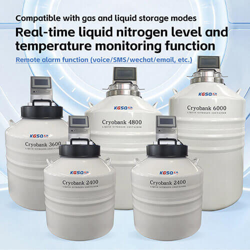 South Africa liquid nitrogen tank for freezing stem cells KGSQ