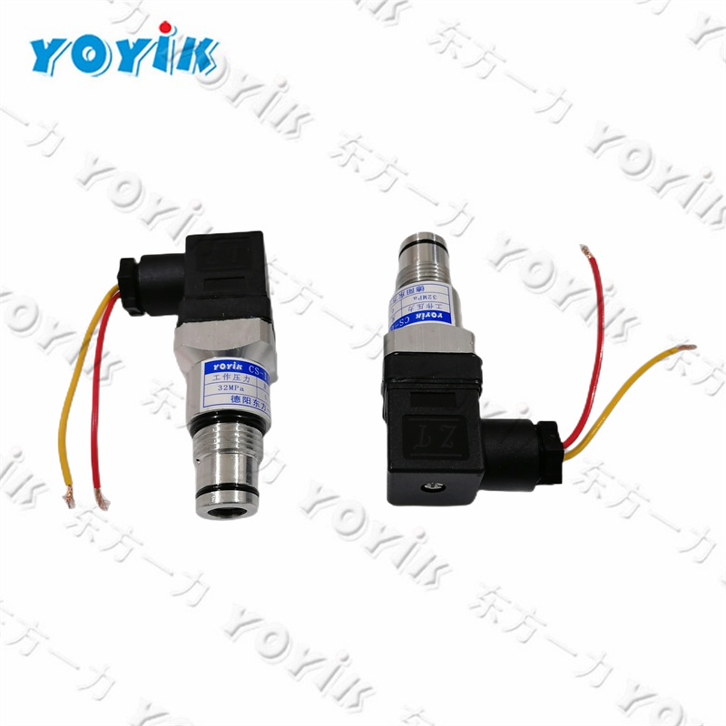 China factory Vacuum Switch HS70595 for power station