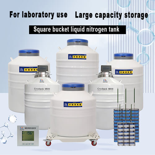 Togo cell freezing container KGSQ Liquid Nitrogen Field Tank