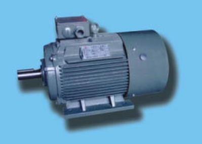 Sell 80-355 Compression special three-phase induction motor