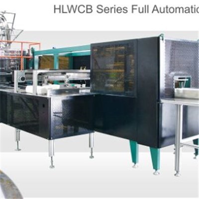 Fast Speed And Automatic Container Packing Machine