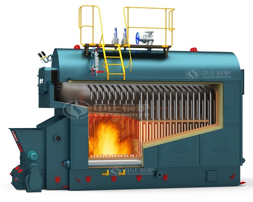 DZL Biomass steam boiler