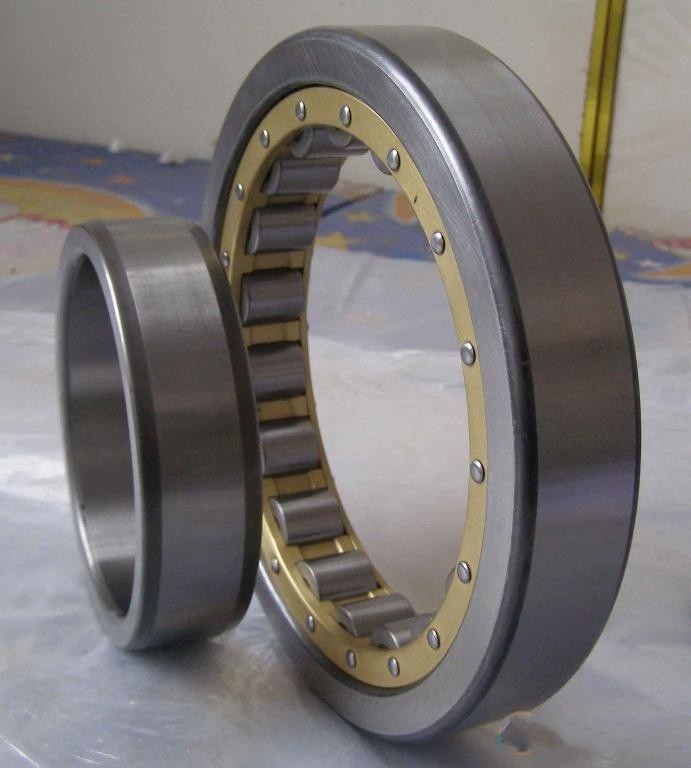 Single row cylindrical roller  bearing N18/710  710*870*74mm 