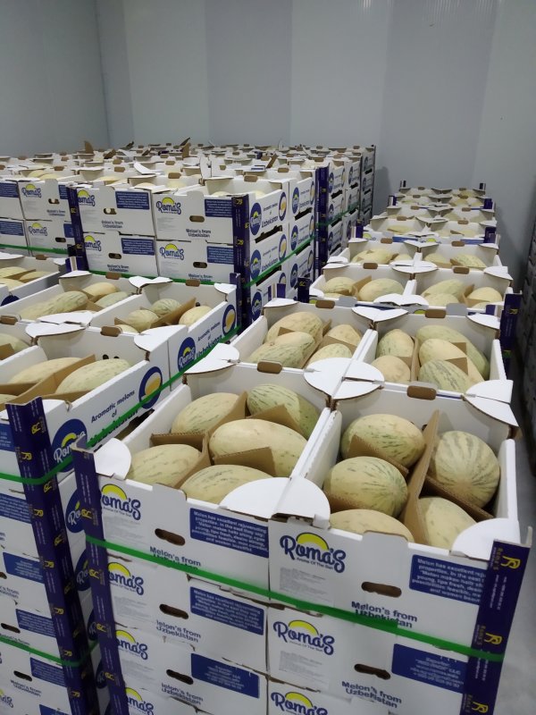 Melon from Uzbekistan