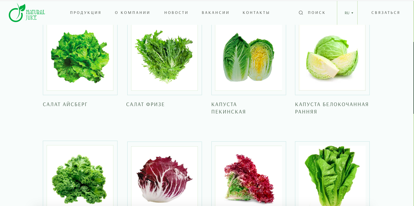 FRESH-GREENS AND VEGETABLES Uzbekistan