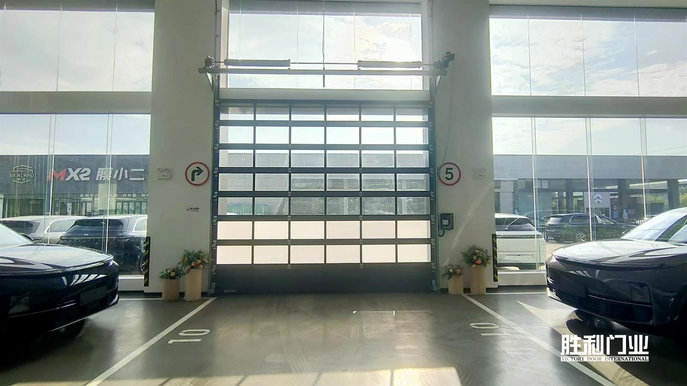 Industrial transparent sectional door (Model: L310)