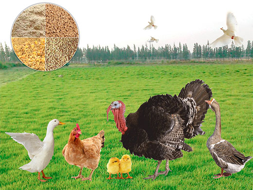 Линия по производству кормов для птицы