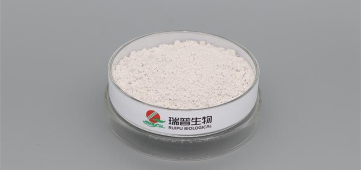 Ferric Phosphate Supplier