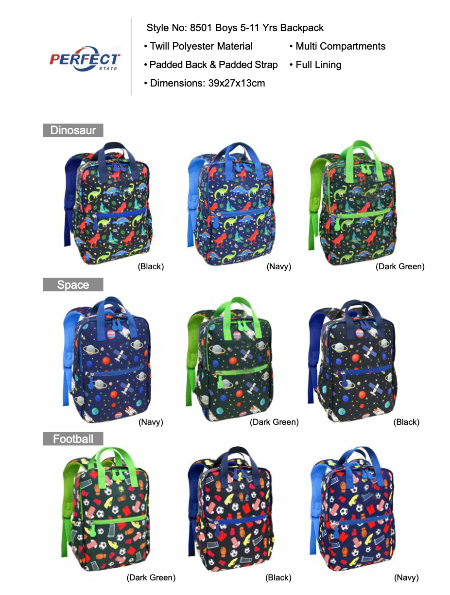 Backpack for boys 5-11 years wholesale from China